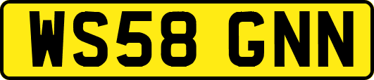 WS58GNN
