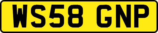 WS58GNP