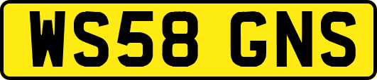 WS58GNS