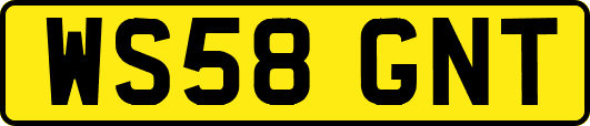 WS58GNT