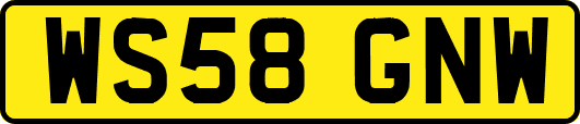 WS58GNW