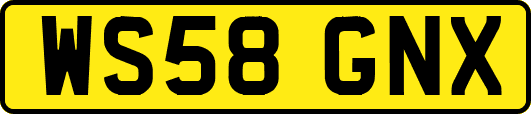 WS58GNX