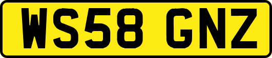 WS58GNZ