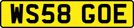 WS58GOE