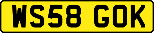 WS58GOK