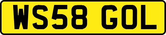 WS58GOL