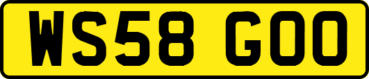 WS58GOO