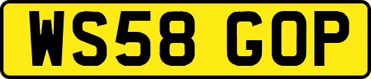 WS58GOP