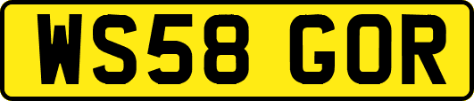 WS58GOR