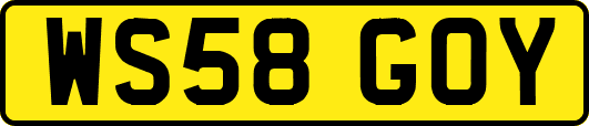 WS58GOY