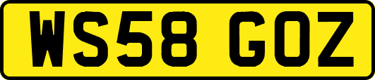 WS58GOZ