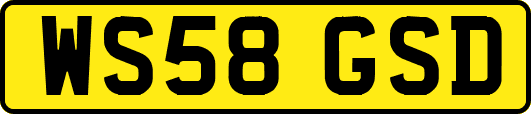 WS58GSD