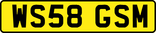 WS58GSM