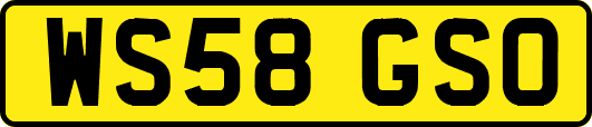 WS58GSO