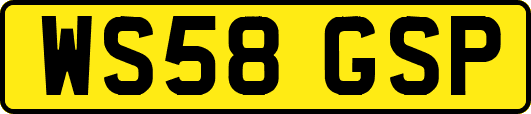 WS58GSP