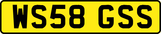 WS58GSS