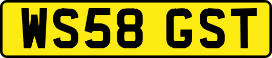 WS58GST