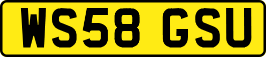 WS58GSU