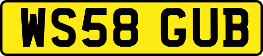 WS58GUB
