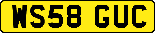 WS58GUC