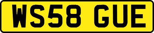 WS58GUE