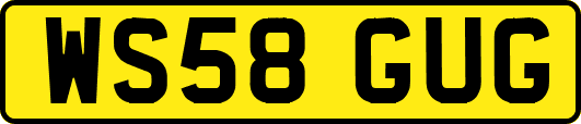 WS58GUG