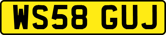 WS58GUJ