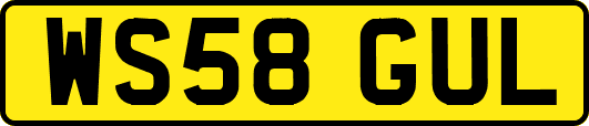 WS58GUL