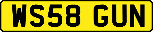 WS58GUN