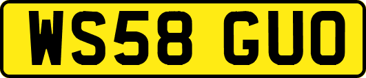 WS58GUO