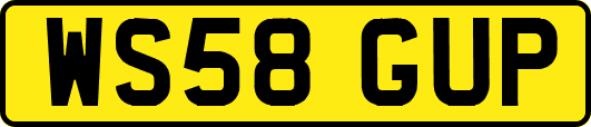 WS58GUP