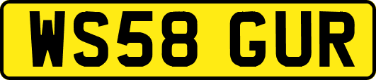 WS58GUR