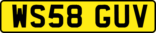 WS58GUV
