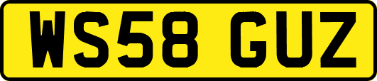 WS58GUZ