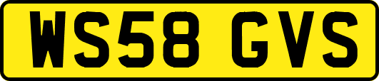 WS58GVS
