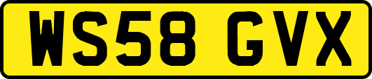 WS58GVX