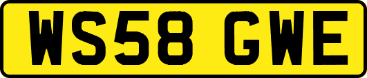 WS58GWE