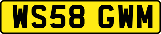 WS58GWM