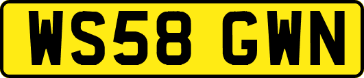 WS58GWN