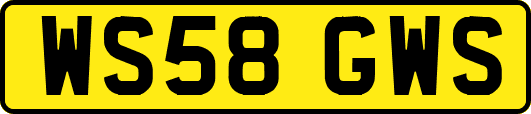 WS58GWS