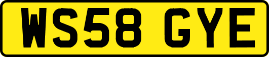 WS58GYE