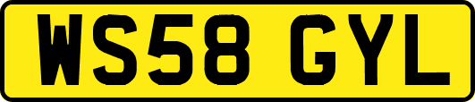 WS58GYL