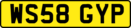 WS58GYP