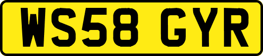 WS58GYR