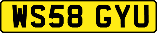 WS58GYU