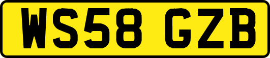 WS58GZB