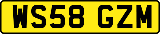 WS58GZM
