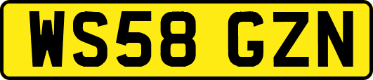 WS58GZN