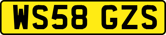 WS58GZS