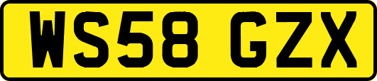 WS58GZX